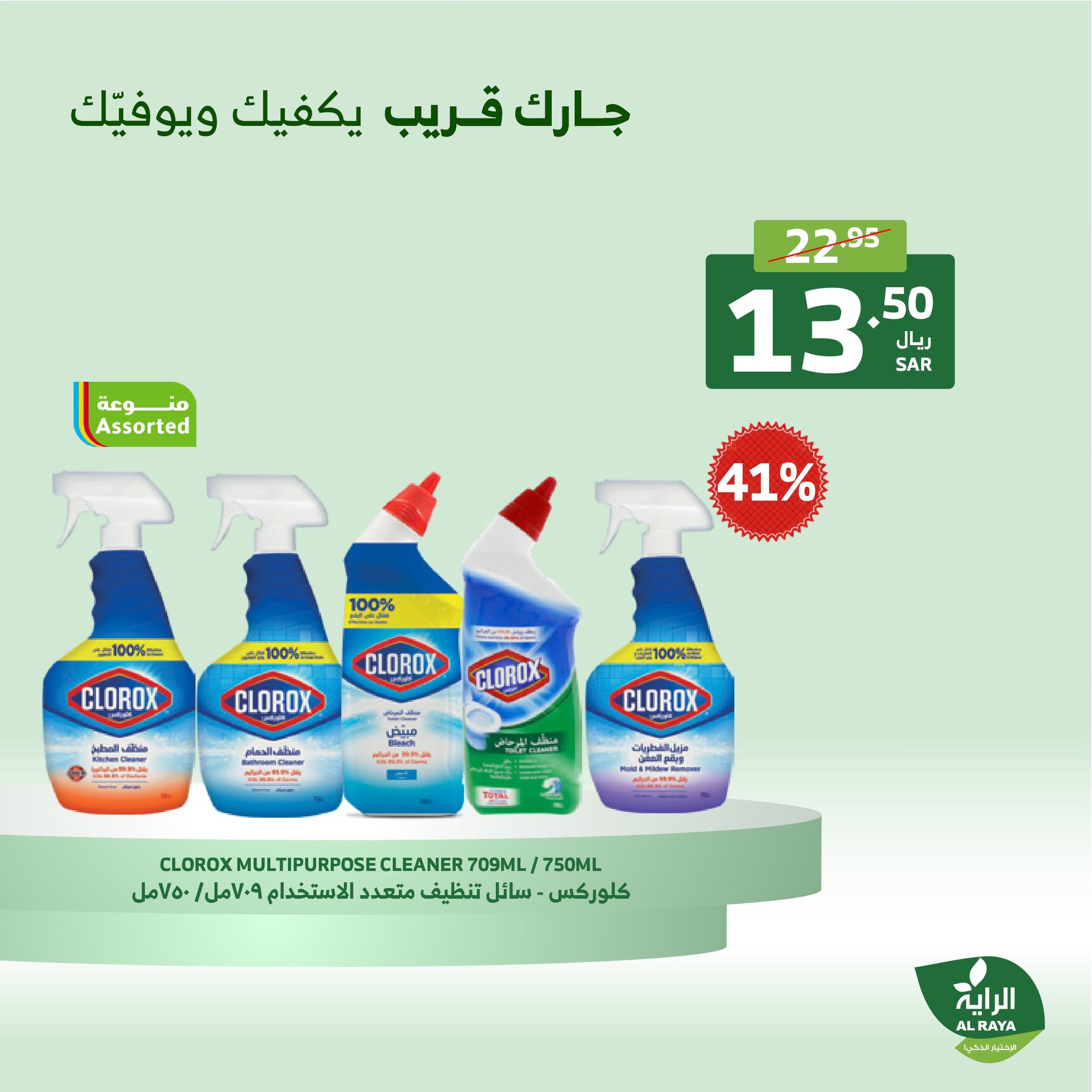 alraya offers from 19dec to 21dec 2024 عروض الراية من 19 ديسمبر حتى 21 ديسمبر 2024 صفحة رقم 15